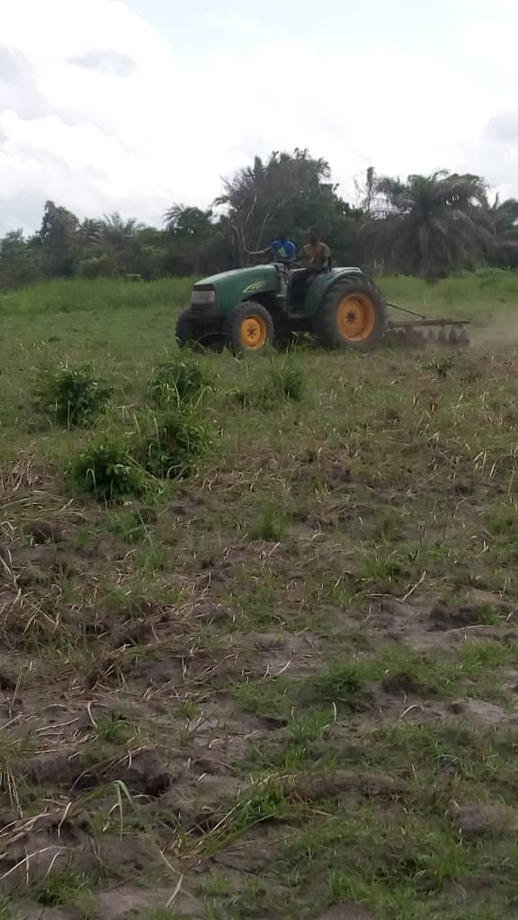 Tractor cultivating land